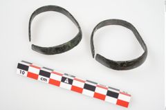 Foto von Bronzeschaukelfußreif (NHMW-PRAE-026220)